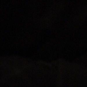 Meet your Posher, Meow